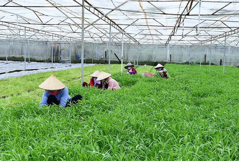 Thủ tướng đồng ý tạm dừng thanh tra Vinamit - Ảnh 1.