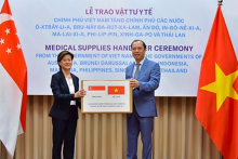 Singapore muốn hợp tác với Việt Nam về khởi nghiệp lĩnh vực kĩ thuật số và năng lượng tái tạo