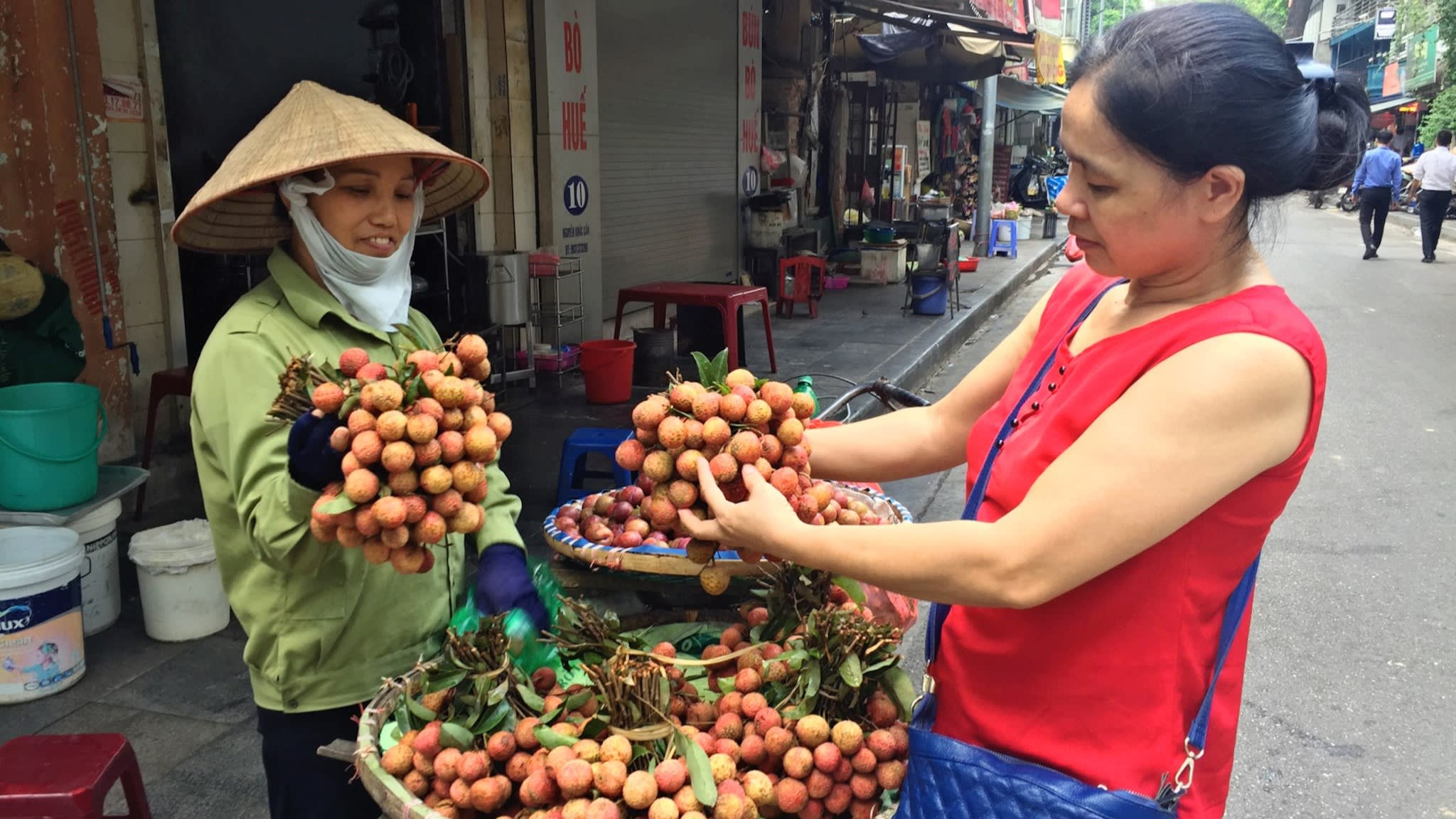 Vải thiều Việt Nam hấp dẫn thị trường Nhật Bản - Ảnh 2. Vải thiều Việt Nam hấp dẫn thị trường Nhật Bản - Ảnh 2.