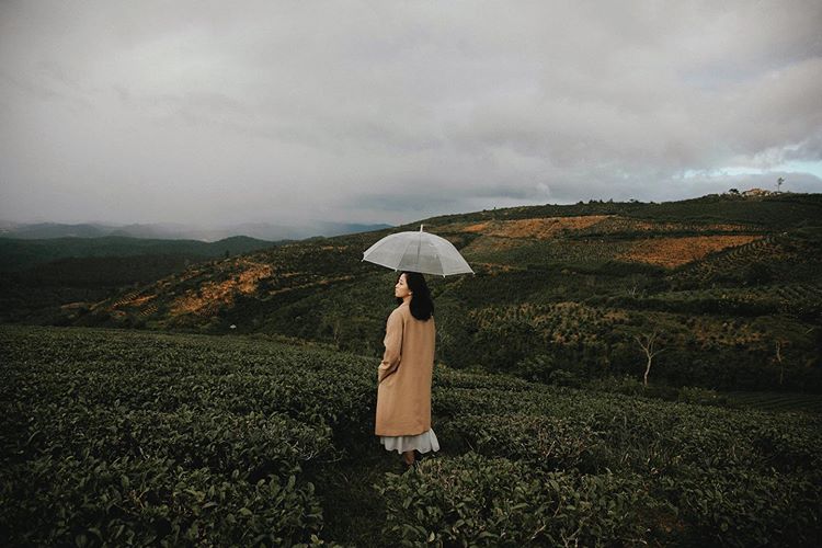 Đà Lạt ở đâu? Có gì mà người người nhà nhà đổ xô về check in? - Ảnh 2.
