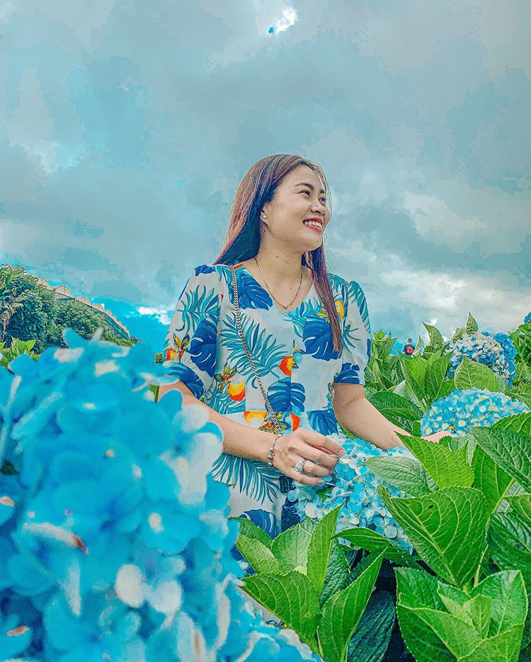 Đà Lạt ở đâu? Có gì mà người người nhà nhà đổ xô về check in? - Ảnh 3.