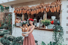 Đà Lạt ở đâu? Có gì mà người người nhà nhà đổ xô về check in?