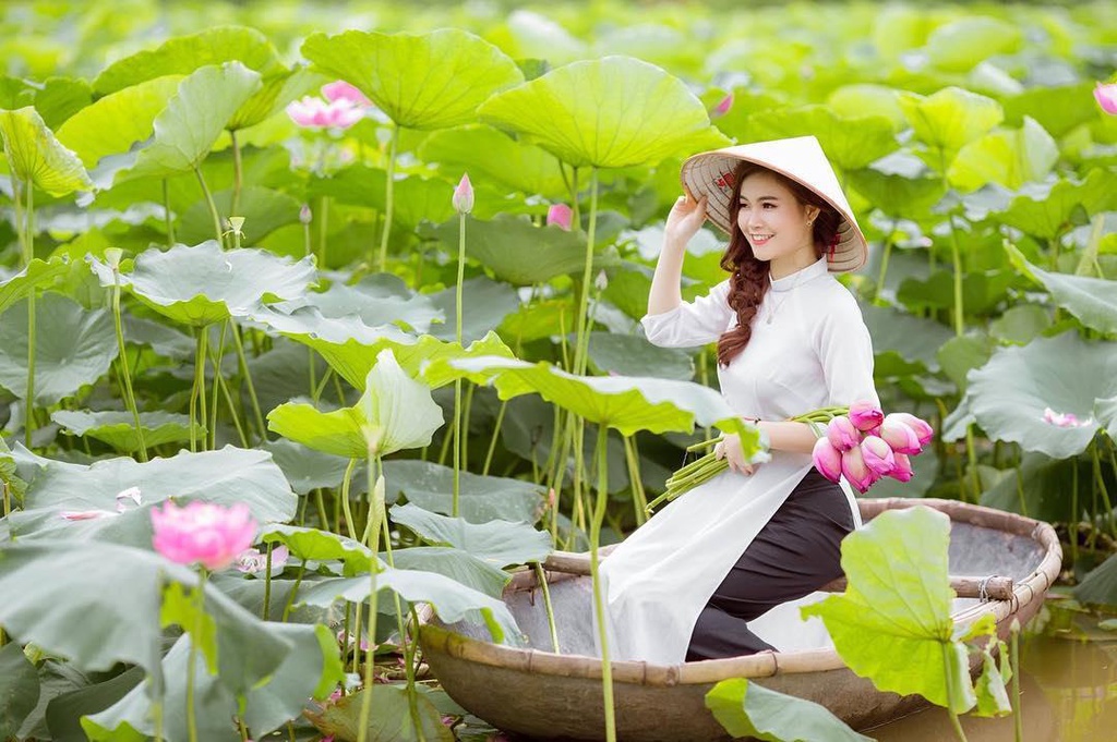 Đi ngay thôi, sen ở Hồ Quan Sơn đang nở rộ! - Ảnh 1.