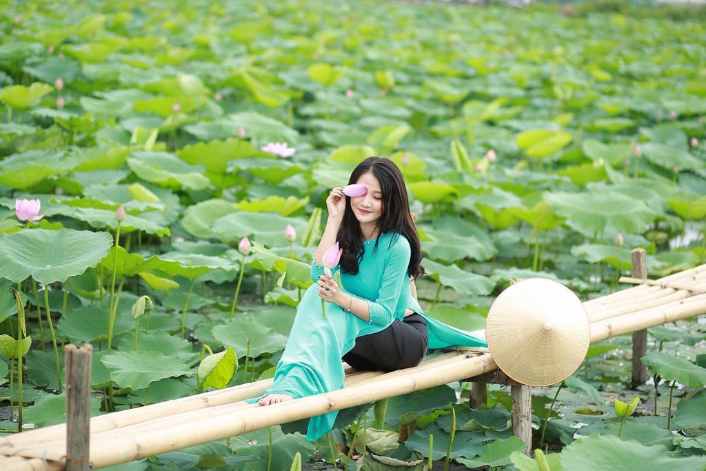 Đi ngay thôi, sen ở Hồ Quan Sơn đang nở rộ! - Ảnh 2.