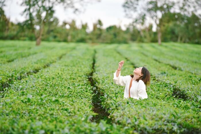 Những địa điểm du lịch Gia Lai xanh mát nhất định phải ghé thăm trong hè này - Ảnh 2. Những địa điểm du lịch Gia Lai xanh mát nhất định phải ghé thăm trong hè này - Ảnh 2.