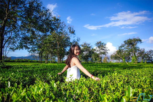 Những địa điểm du lịch Gia Lai xanh mát nhất định phải ghé thăm trong hè này - Ảnh 1. Những địa điểm du lịch Gia Lai xanh mát nhất định phải ghé thăm trong hè này - Ảnh 1.