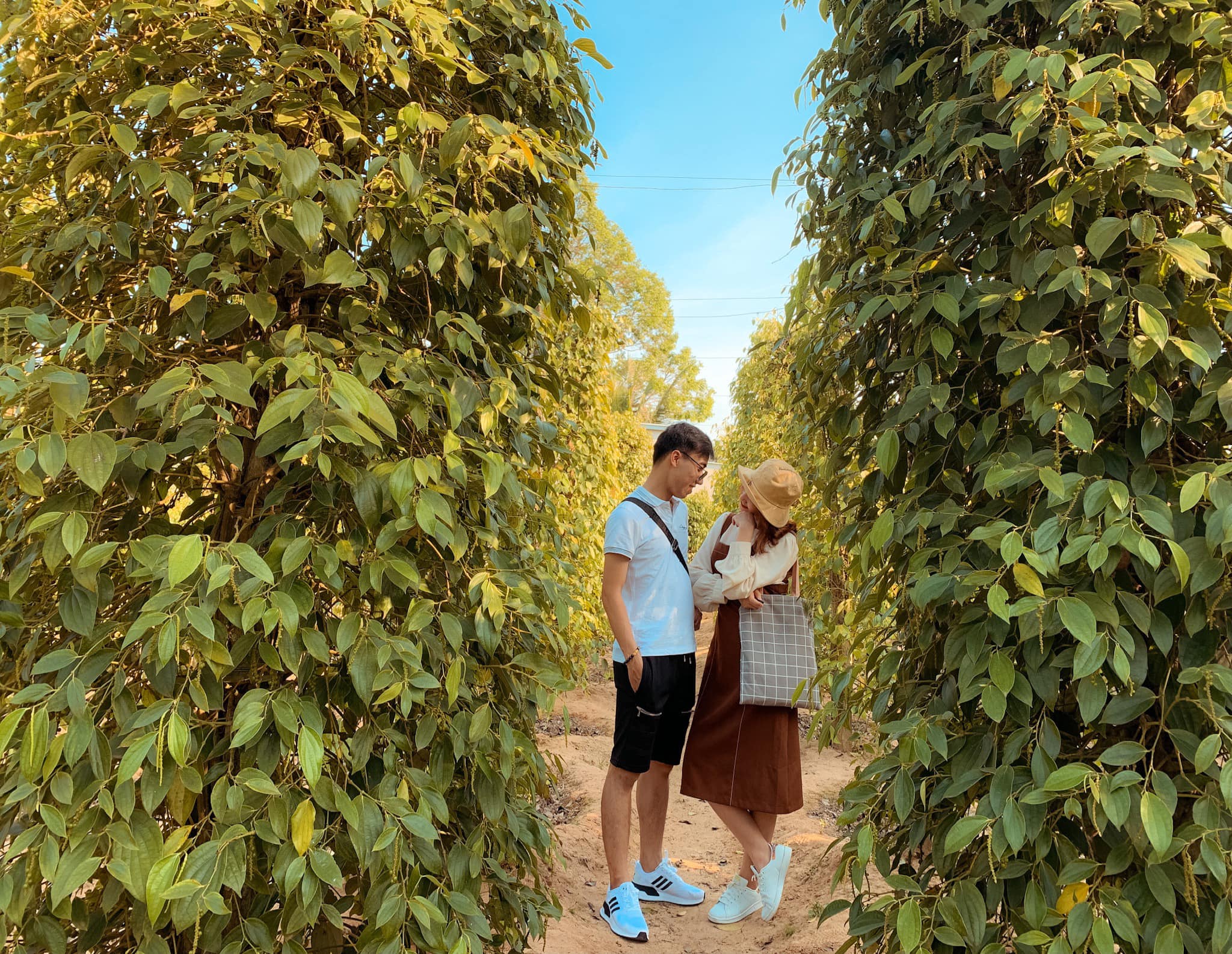 Tour du lịch Phú Quốc khởi hành từ Rạch Giá: Vô vàn ưu đãi trong dịp hè này - Ảnh 12. Tour du lịch Phú Quốc khởi hành từ Rạch Giá: Vô vàn ưu đãi trong dịp hè này - Ảnh 12.