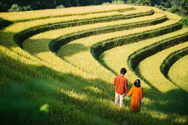 Danh thắng ruộng bậc thang, Mù Cang Chải ở đâu? - Ảnh 6. Danh thắng ruộng bậc thang, Mù Cang Chải ở đâu? - Ảnh 6.