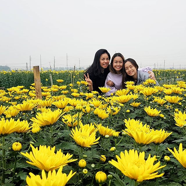 Vĩnh Phúc ở đâu? Khám phá loạt danh lam, thắng cảnh tại Vĩnh Phúc - Ảnh 16.