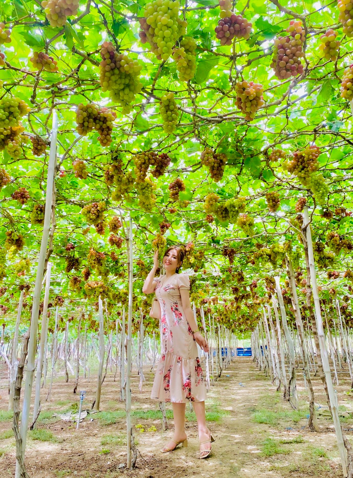 Tour du lịch Nha Trang từ TP HCM: Thưởng ngoạn mỹ cảnh tại hòn ngọc Việt - Ảnh 11. Tour du lịch Nha Trang từ TP HCM: Thưởng ngoạn mỹ cảnh tại hòn ngọc Việt - Ảnh 11.
