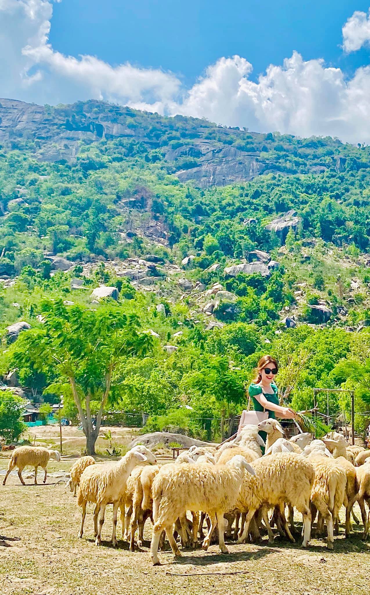 Tour du lịch Nha Trang khởi hành từ Hà Nội: Giảm giá sốc nhiều gói tour trong dịp hè này  - Ảnh 17.