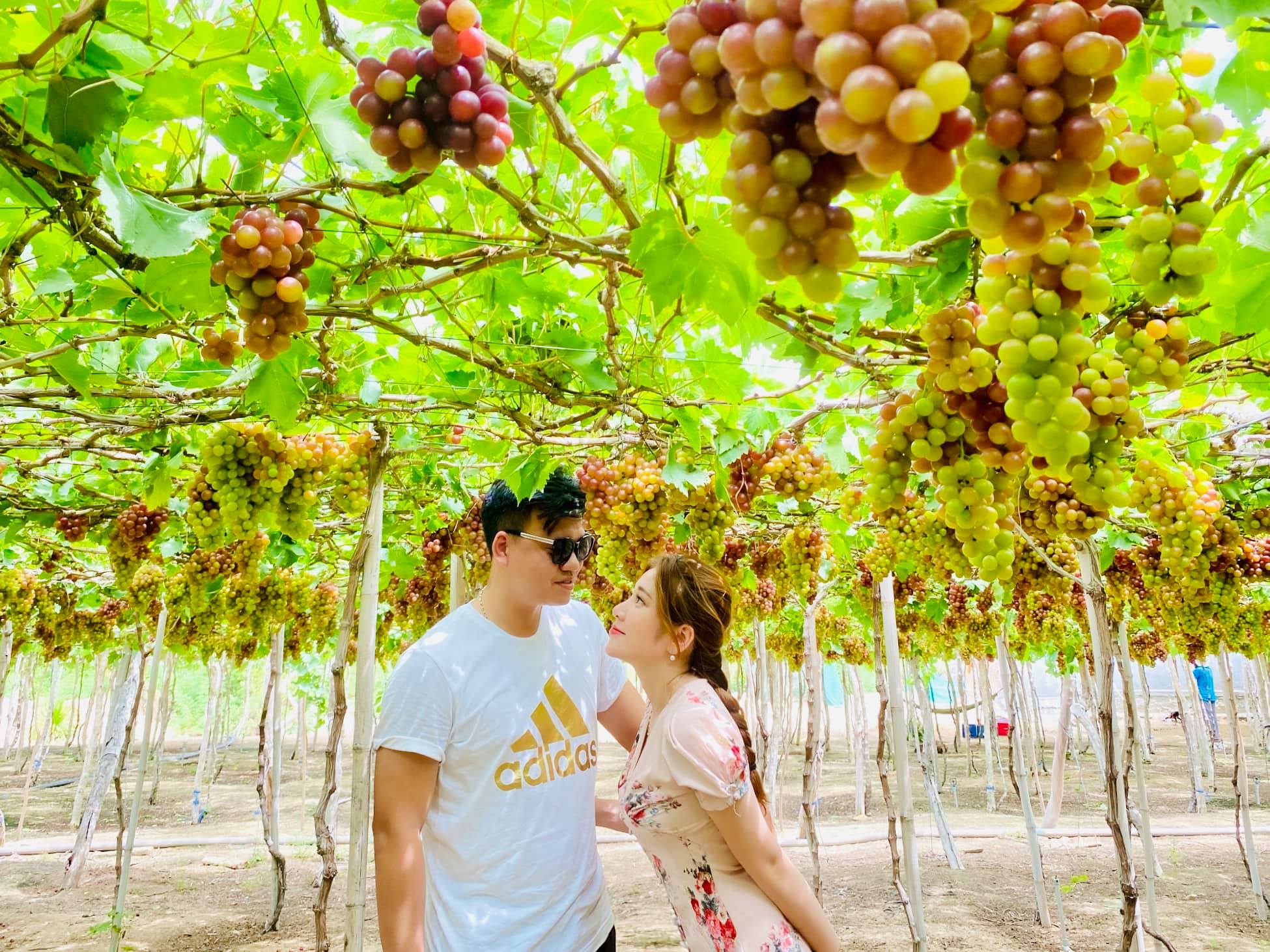 Tour du lịch Nha Trang khởi hành từ Hà Nội: Giảm giá sốc nhiều gói tour trong dịp hè này  - Ảnh 15.