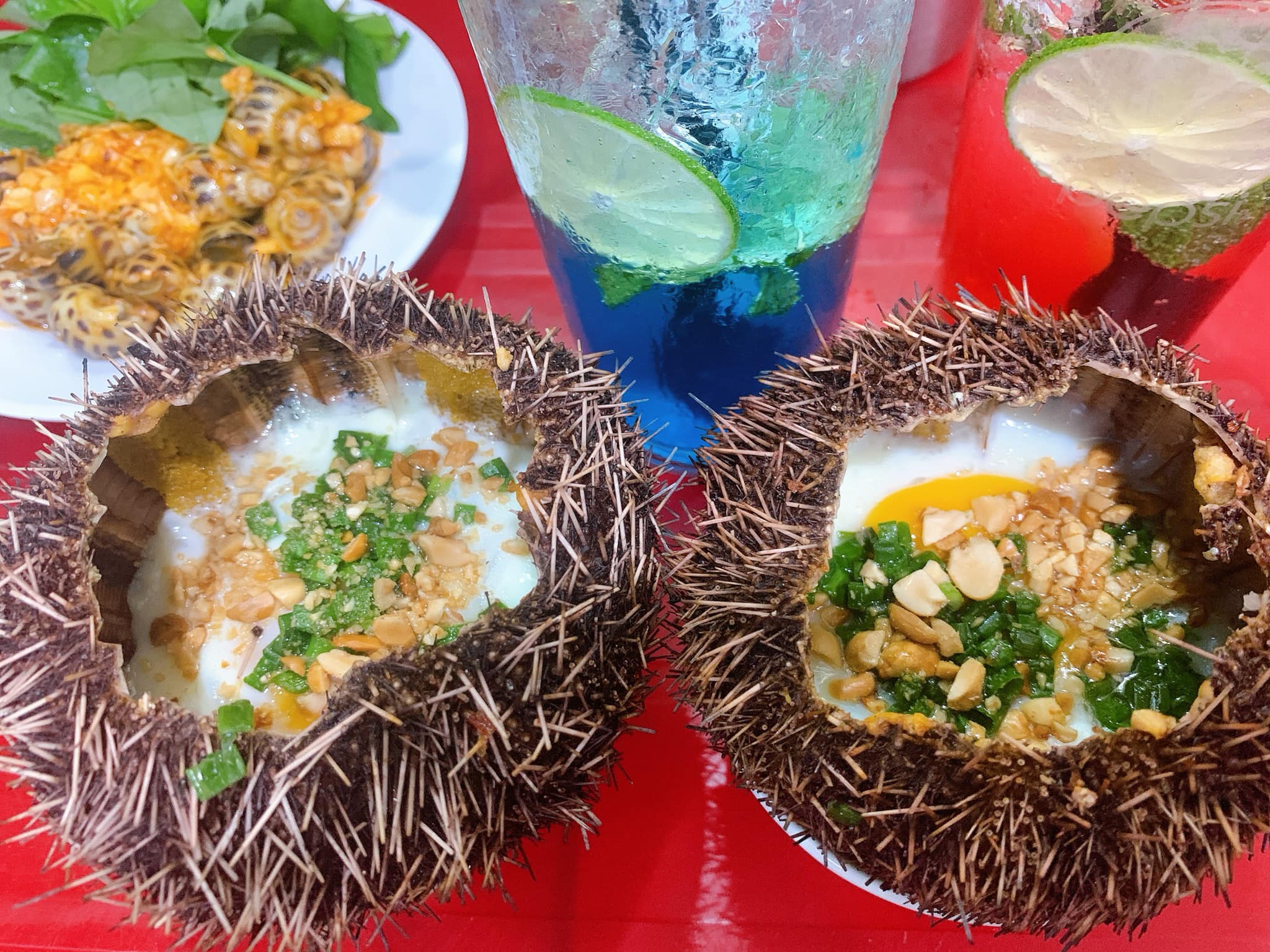 Tour du lịch Nha Trang từ TP HCM: Thưởng ngoạn mỹ cảnh tại hòn ngọc Việt - Ảnh 19. Tour du lịch Nha Trang từ TP HCM: Thưởng ngoạn mỹ cảnh tại hòn ngọc Việt - Ảnh 19.