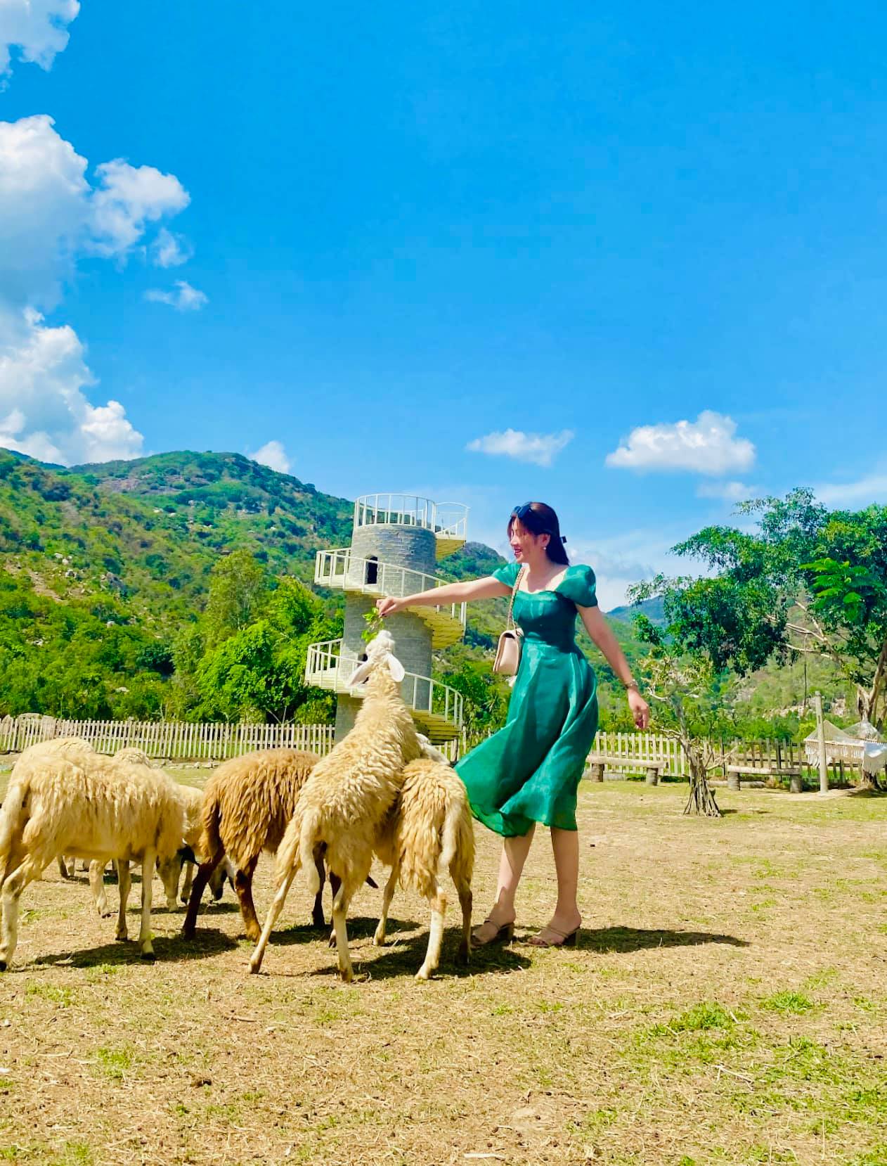 Tour du lịch Nha Trang khởi hành từ Đà Nẵng: Khuyến mãi ngày hè, tour trọn gói chỉ từ 1,6 triệu đồng - Ảnh 12. Tour du lịch Nha Trang khởi hành từ Đà Nẵng: Khuyến mãi ngày hè, tour trọn gói chỉ từ 1,6 triệu đồng - Ảnh 12.