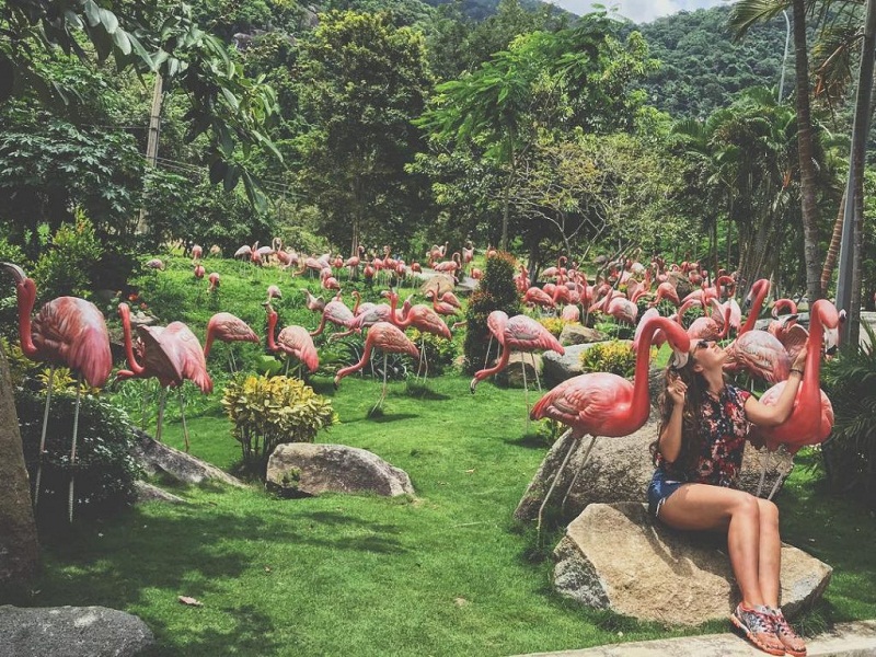 'Bỏ túi' kinh nghiệm du lịch Bình Thuận tự túc cho cả gia đình - Ảnh 3. 'Bỏ túi' kinh nghiệm du lịch Bình Thuận tự túc cho cả gia đình - Ảnh 3.