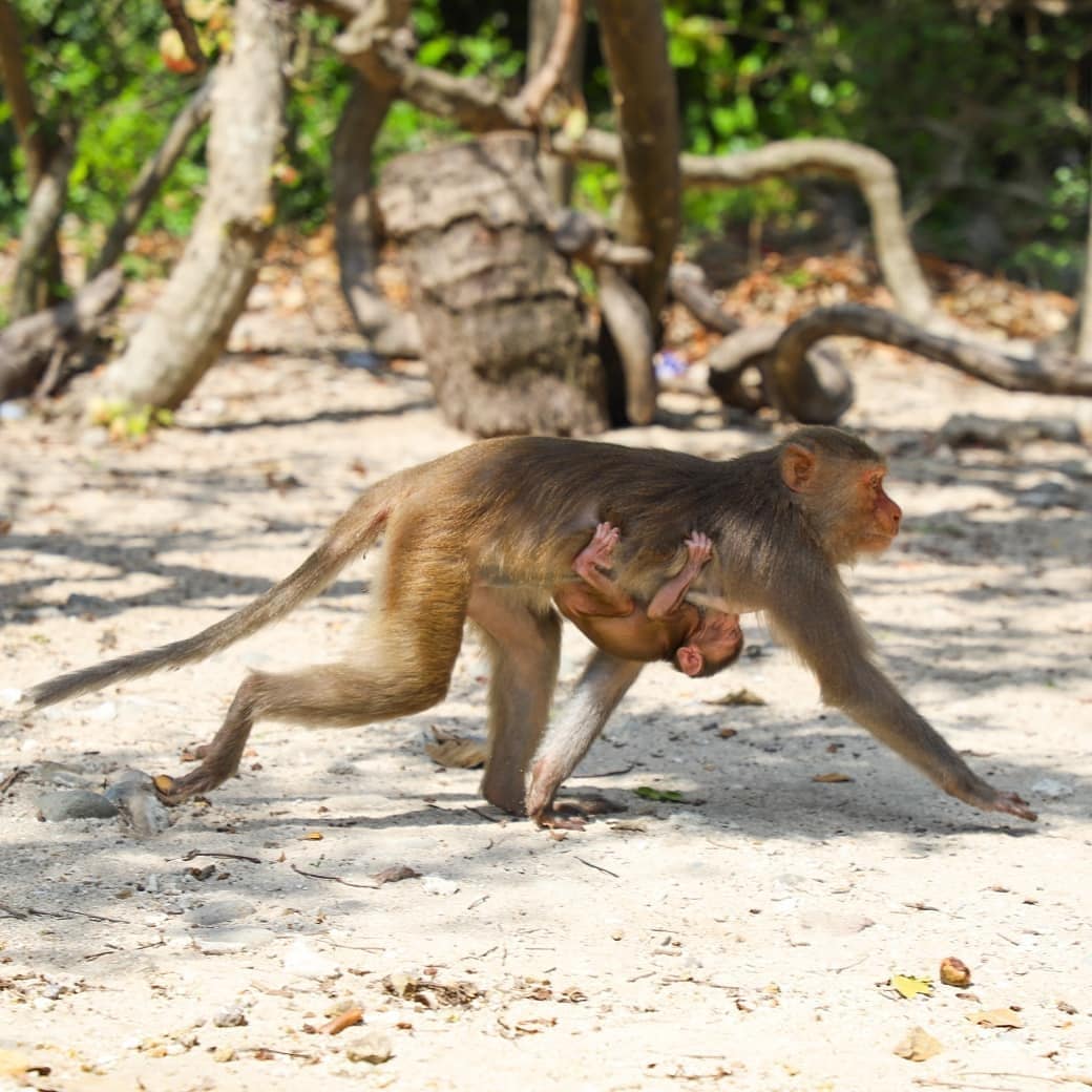 Tour du lịch Nha Trang 1 ngày: Khám phá thiên đường biển đảo với chi phí cực hấp dẫn - Ảnh 12. Tour du lịch Nha Trang 1 ngày: Khám phá thiên đường biển đảo với chi phí cực hấp dẫn - Ảnh 12.