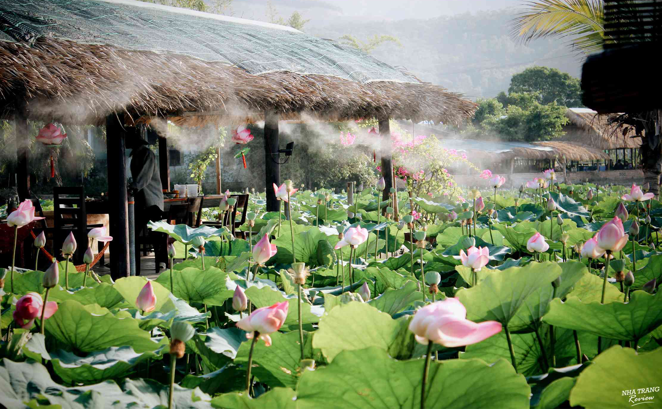 Top 7 Quán ăn chay Nha Trang được du khách hết lời ca ngợi - Ảnh 1. Top 7 Quán ăn chay Nha Trang được du khách hết lời ca ngợi - Ảnh 1.