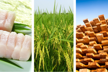 Nhờ EVFTA, các ngành hàng xuất khẩu chủ lực của Việt Nam bắt đầu hưởng lợi