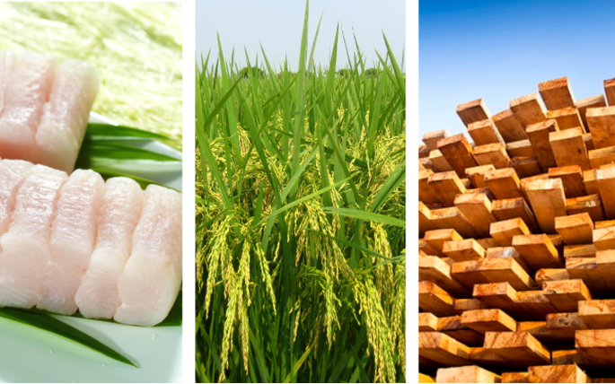 Nhiều ngành hàng xuất khẩu chủ lực của Việt Nam bắt đầu hưởng lợi từ EVFTA - Ảnh 1. Nhiều ngành hàng xuất khẩu chủ lực của Việt Nam bắt đầu hưởng lợi từ EVFTA - Ảnh 1.