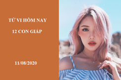 Tử vi hàng ngày hôm nay 11/8 của 12 con giáp: Dậu ghen tuông vô cớ, Hợi đừng quá tin vào trực giác