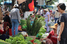 Mỗi gia đình Đà Nẵng được phát 5 thẻ đi chợ trong 15 ngày