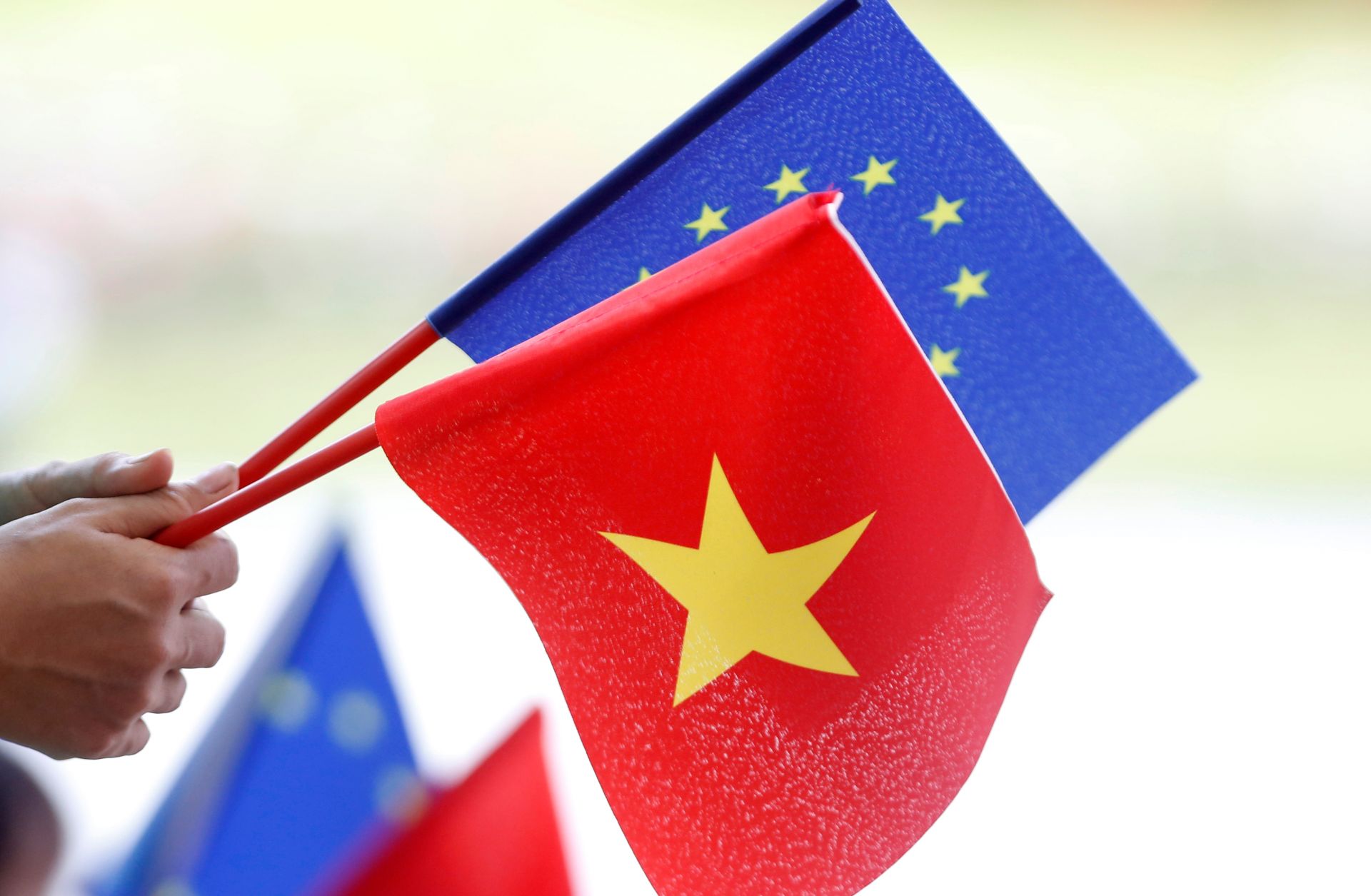 EVFTA: Cam kết trong Hiệp định IPA - Ảnh 1. EVFTA: Cam kết trong Hiệp định IPA - Ảnh 1.