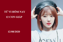 Tử vi hàng ngày hôm nay 12/8 của 12 con giáp: Mão mắc phải nhiều sai lầm, Ngọ trắc trở tình duyên