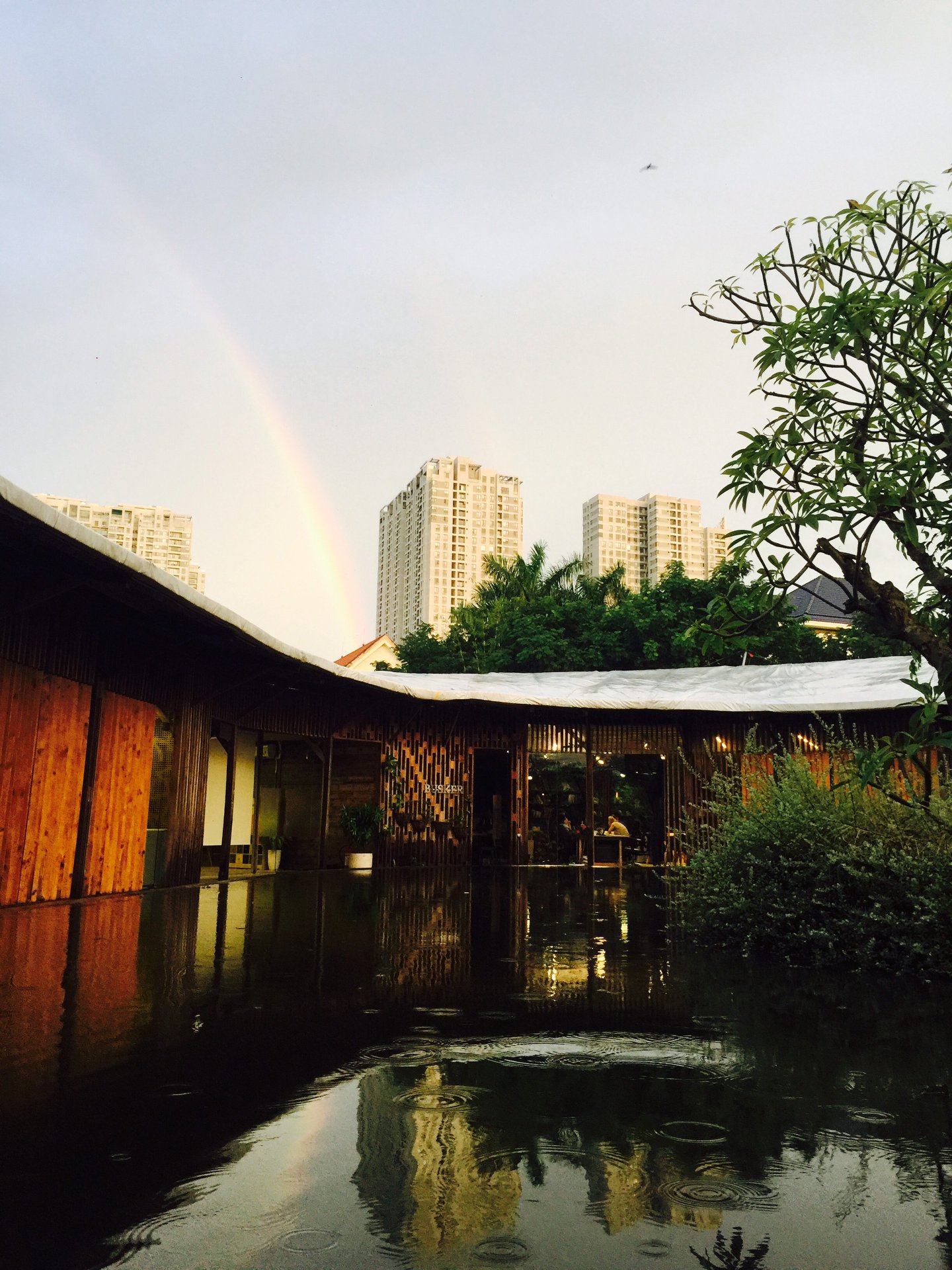 Chiang Mai quận 2 - ốc đảo xanh rì giữa lòng Sài Gòn, bạn đã ghé thử chưa? - Ảnh 6. Chiang Mai quận 2 - ốc đảo xanh rì giữa lòng Sài Gòn, bạn đã ghé thử chưa? - Ảnh 6.