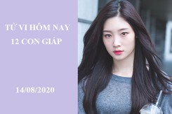 Tử vi hàng ngày hôm nay 14/8 của 12 con giáp: Hợi có điềm được tăng lương, Sửu có thêm các mối quan hệ mới