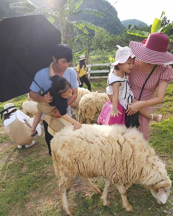 Đến Mộc Châu không khám phá khu du lịch Happy Land thì 'tiếc hùi hụi' - Ảnh 1.
