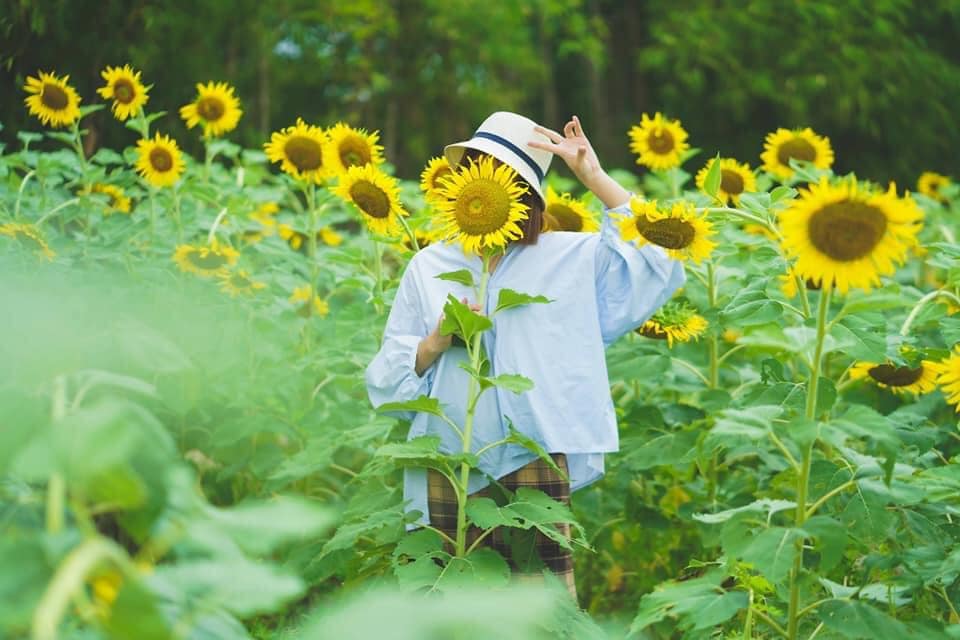 Bật mí top 7 khu du lịch sinh thái 'xanh mát tầm mắt' ngay gần Hà Nội - Ảnh 15. Bật mí top 7 khu du lịch sinh thái 'xanh mát tầm mắt' ngay gần Hà Nội - Ảnh 15.
