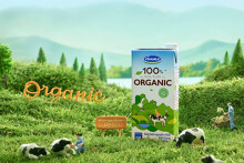 Vinamilk rót thêm 40 triệu USD vào resort bò sữa organic tại Lào