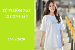 Tử vi hàng ngày hôm nay 16/8 của 12 con giáp: Mão hiểu nhầm người khác, Tỵ đề phòng tai tiếng