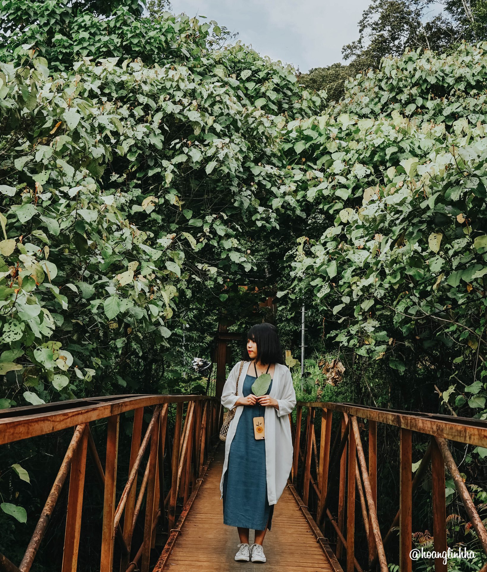 Nét bình yên nơi núi rừng Măng Đen, 'Đà Lạt của vùng Bắc Tây Nguyên' - Ảnh 18. Nét bình yên nơi núi rừng Măng Đen, 'Đà Lạt của vùng Bắc Tây Nguyên' - Ảnh 18.