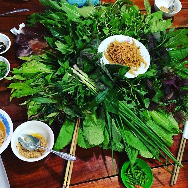 Gỏi lá KonTum dân dã mà cầu kì khiến bao người lữ khách đi về nhớ mãi - Ảnh 2.