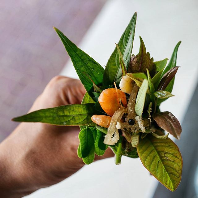 Gỏi lá KonTum dân dã mà cầu kì khiến bao người lữ khách đi về nhớ mãi - Ảnh 8.