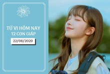 Tử vi hàng ngày hôm nay 22/8 của 12 con giáp: Mão có lộc tiền bạc, Ngọ tình duyên không mấy suôn sẻ