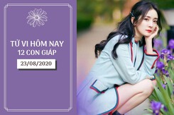 Tử vi hàng ngày hôm nay 23/8 của 12 con giáp: Thìn có điềm cãi cọ, Mão may mắn đường công danh