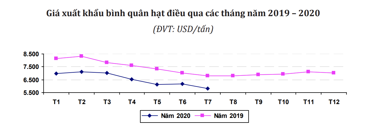 Giá điều xuất khẩu giảm xuống mức thấp nhất trong nhiều năm - Ảnh 1. Giá điều xuất khẩu giảm xuống mức thấp nhất trong nhiều năm - Ảnh 1.