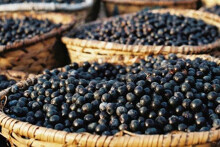 Gợi ý các món ăn đặc sản mà du khách phải thử khi đến Phú Thọ