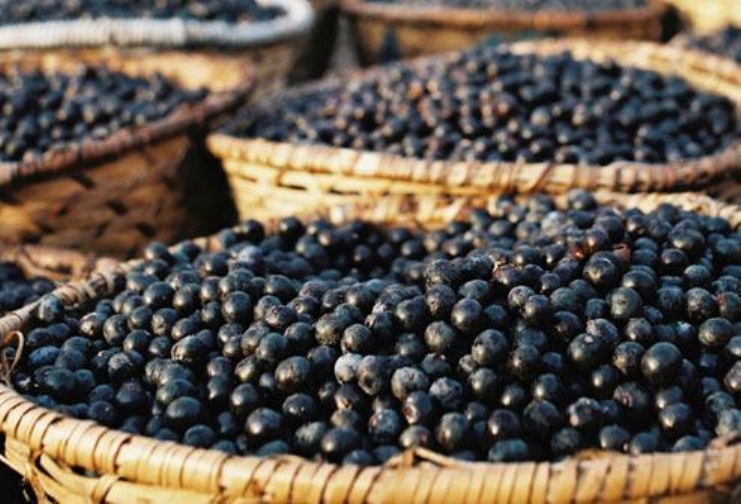 Gợi ý các món ăn đặc sản Phú Thọ mà du khách nên thử một lần - Ảnh 5. Gợi ý các món ăn đặc sản Phú Thọ mà du khách nên thử một lần - Ảnh 5.