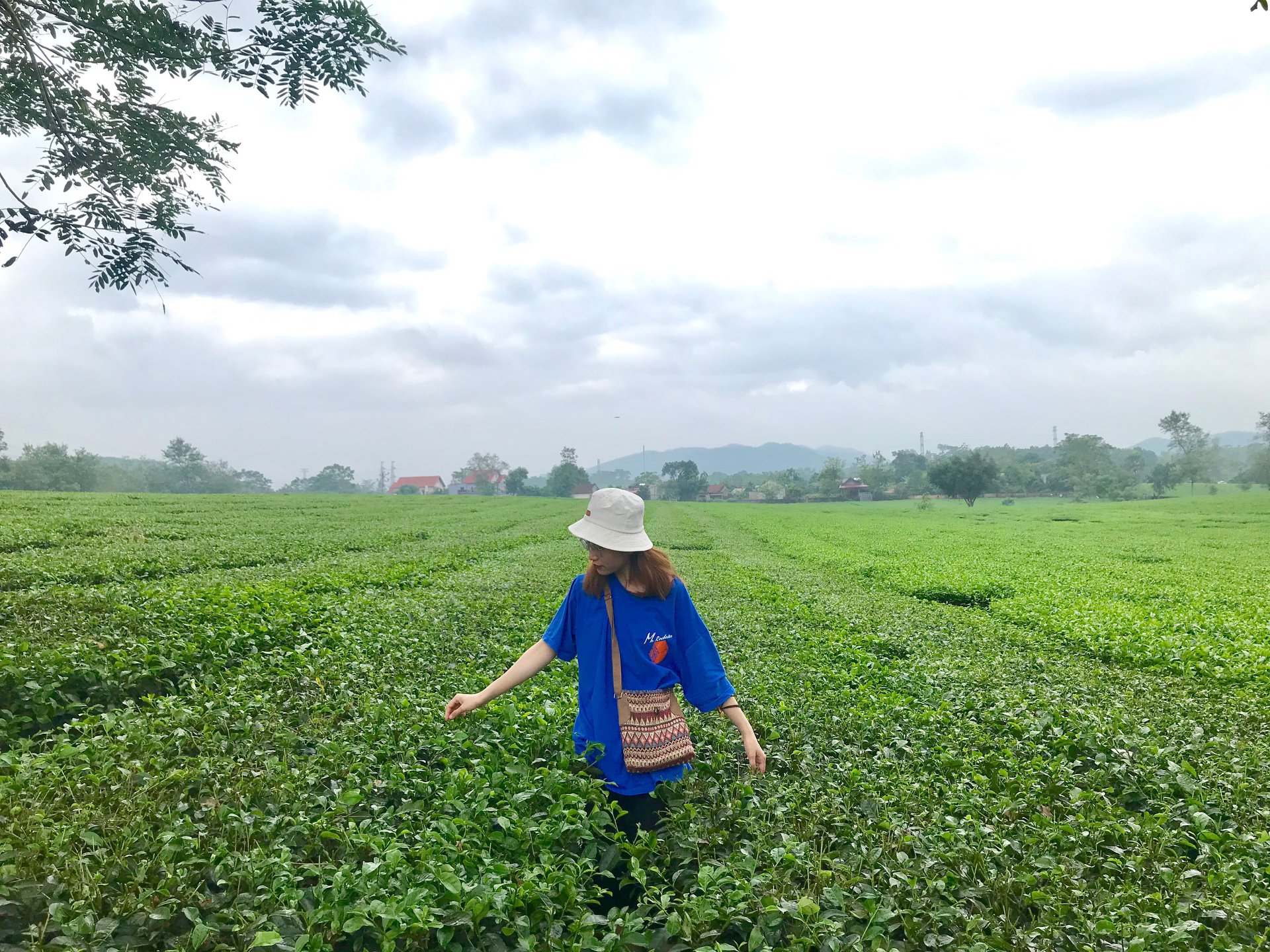 Gợi ý top 3 điểm đến trong lành, bình yên tại miền đồi núi Thanh Sơn Phú Thọ - Ảnh 4. Gợi ý top 3 điểm đến trong lành, bình yên tại miền đồi núi Thanh Sơn Phú Thọ - Ảnh 4.