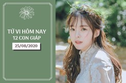 Tử vi hàng ngày hôm nay 25/8 của 12 con giáp: Mão có điềm mâu thuẫn, Sửu công danh gặp trắc trở