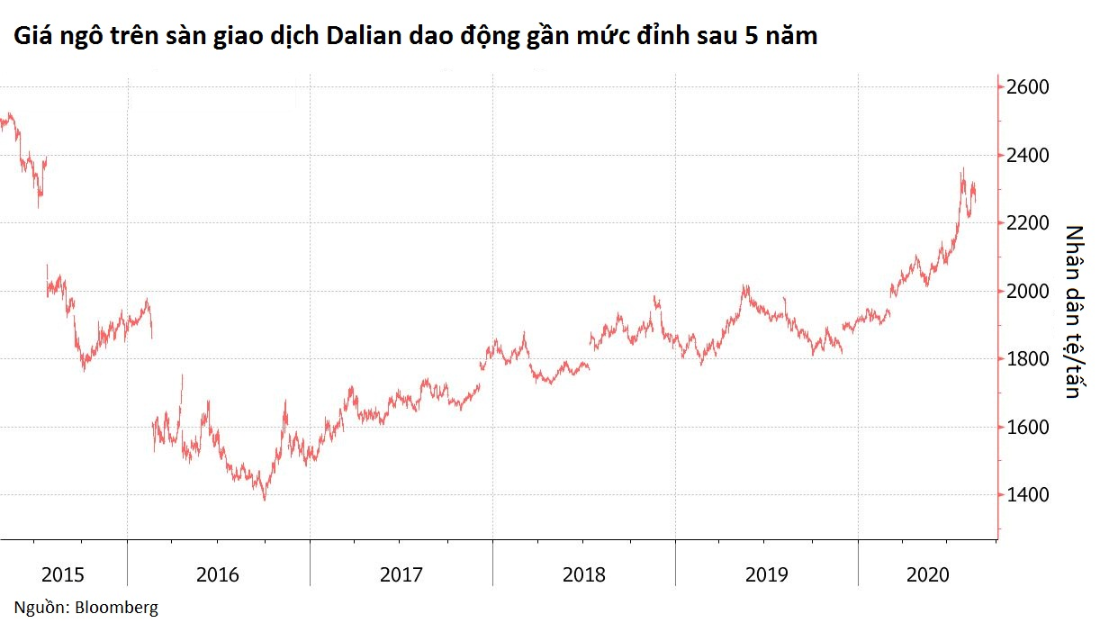 Trung Quốc đang 'thèm khát' nhập khẩu hàng nông sản giữa đại dịch COVID-19 - Ảnh 1. Trung Quốc đang 'thèm khát' nhập khẩu hàng nông sản giữa đại dịch COVID-19 - Ảnh 1.