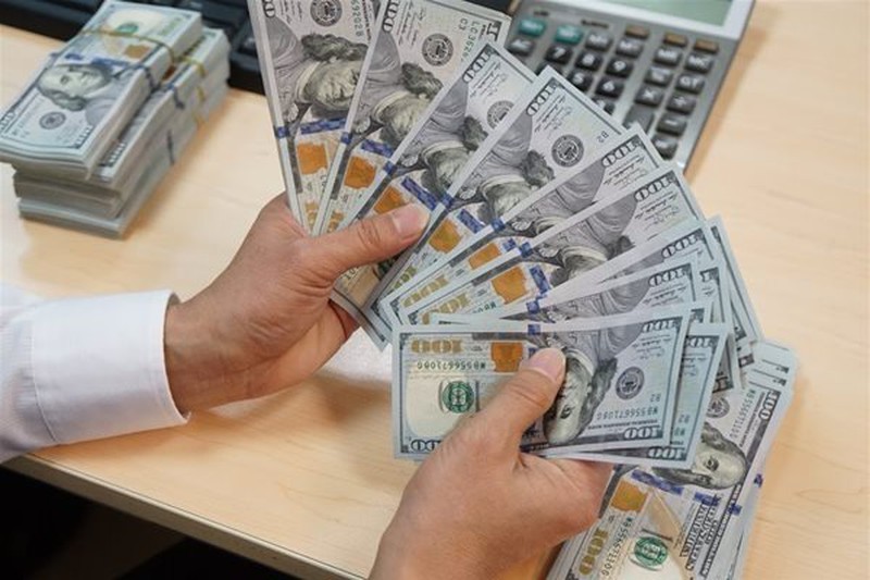SSI Research: Ngân hàng Nhà nước mua vào một lượng lớn ngoại tệ - Ảnh 1.