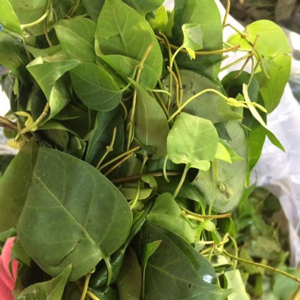 Thịt trâu nấu lá lồm của người Mường khiến du khách ăn mãi chẳng thể dừng - Ảnh 2. Thịt trâu nấu lá lồm của người Mường khiến du khách ăn mãi chẳng thể dừng - Ảnh 2.