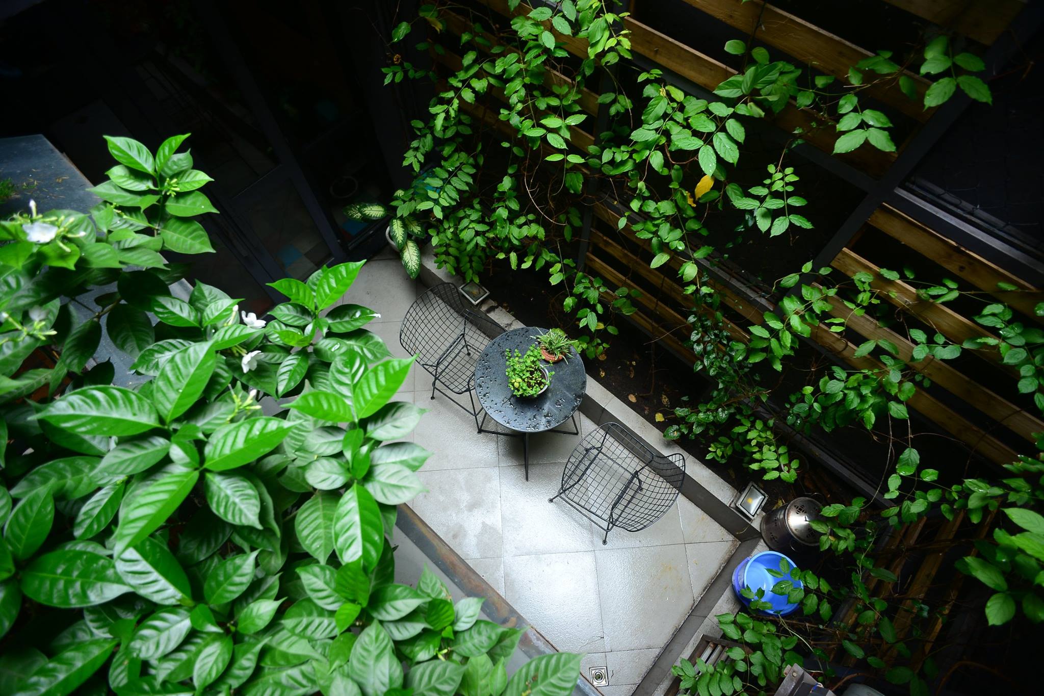 Top những quán cafe lí tưởng để thư giãn trong dịp nghỉ lễ 2/9 - Ảnh 10. Top những quán cafe lí tưởng để thư giãn trong dịp nghỉ lễ 2/9 - Ảnh 10.