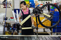Hãng xe đạp quyết không tăng qui mô sản xuất dù doanh số bán tăng