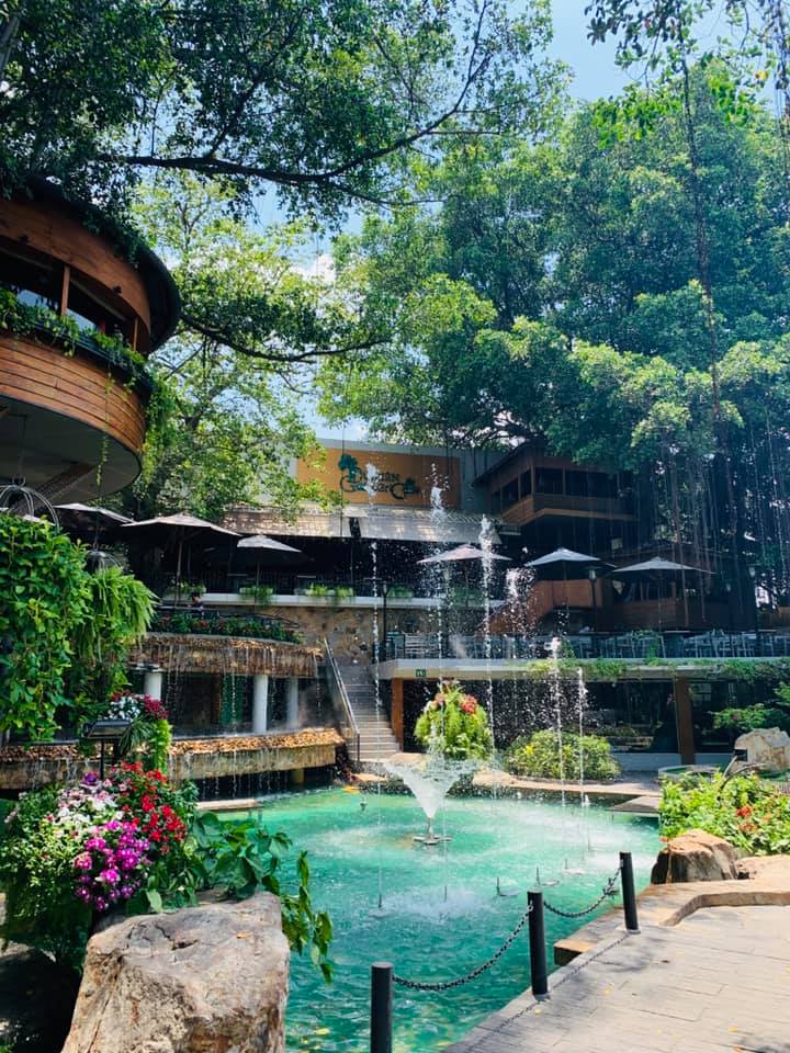 Top những quán cafe lí tưởng để thư giãn trong dịp nghỉ lễ 2/9 - Ảnh 7. Top những quán cafe lí tưởng để thư giãn trong dịp nghỉ lễ 2/9 - Ảnh 7.
