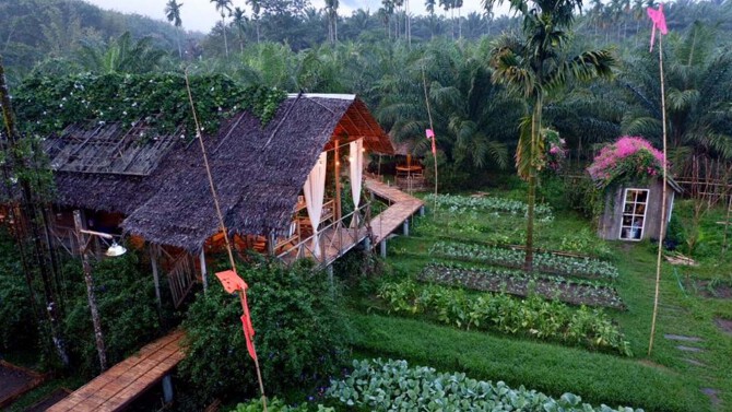 Thông Tin Homestay Bến Tre Mới Nhất 2020